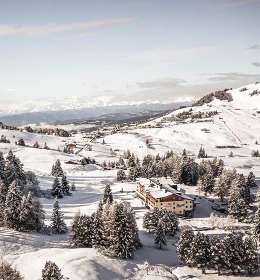 (c) Hannes Niederkofler_WEB-0495[2]