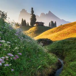 Prato fiorito con ruscello e una baita alpina alla luce del mattino, sullo sfondo le imponenti cime delle Dolomiti.