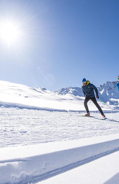 Two cross-country skiers
