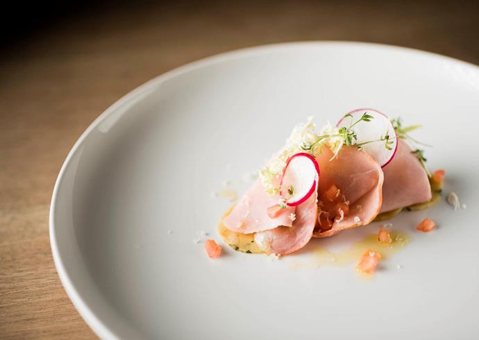 Tender meat with radish and fresh herbs – elegantly served on a creamy base