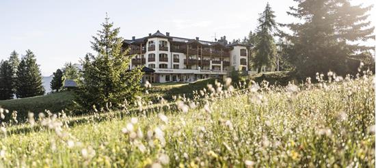 Our hotel in summer
