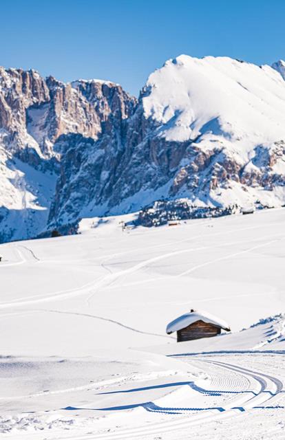 seiser-alm-marketing-werner-dejori-14