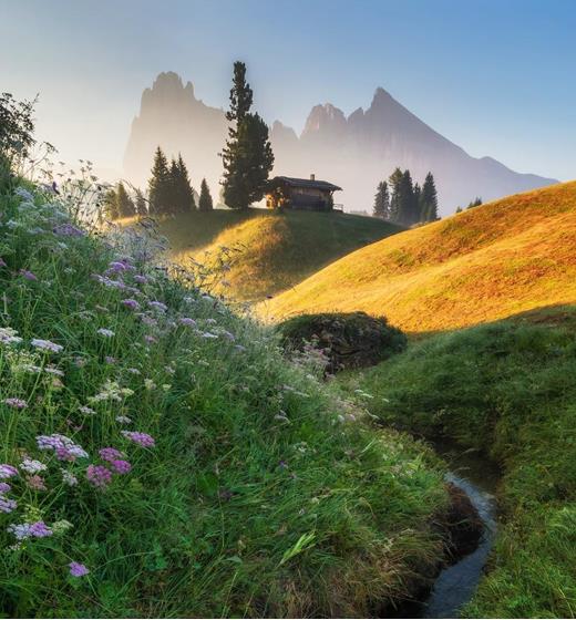 Blumenwiese mit Bachlauf und einer Almhütte im Morgenlicht, dahinter die markanten Gipfel der Dolomiten.