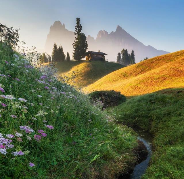 Blumenwiese mit Bachlauf und einer Almhütte im Morgenlicht, dahinter die markanten Gipfel der Dolomiten.