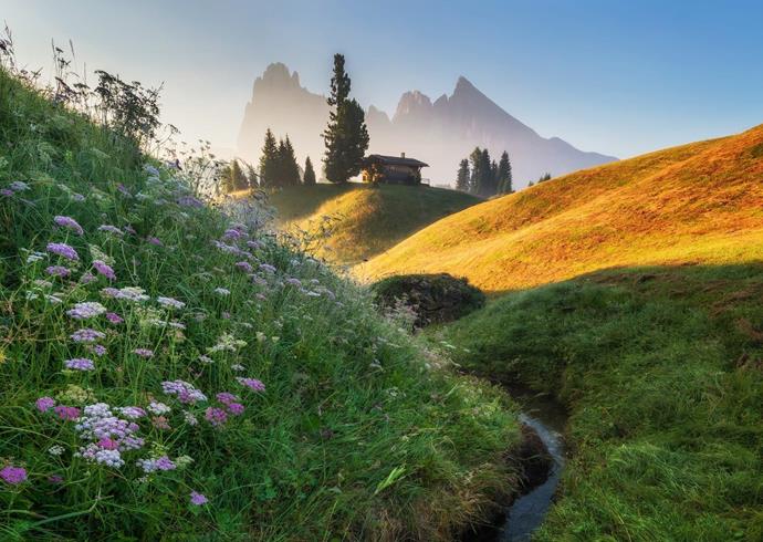 Blumenwiese mit Bachlauf und einer Almhütte im Morgenlicht, dahinter die markanten Gipfel der Dolomiten.