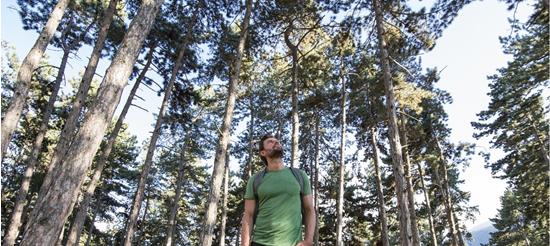 A man is forest bathing