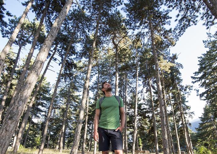 A man is forest bathing