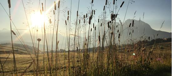 The Seiser Alm under the morning sun