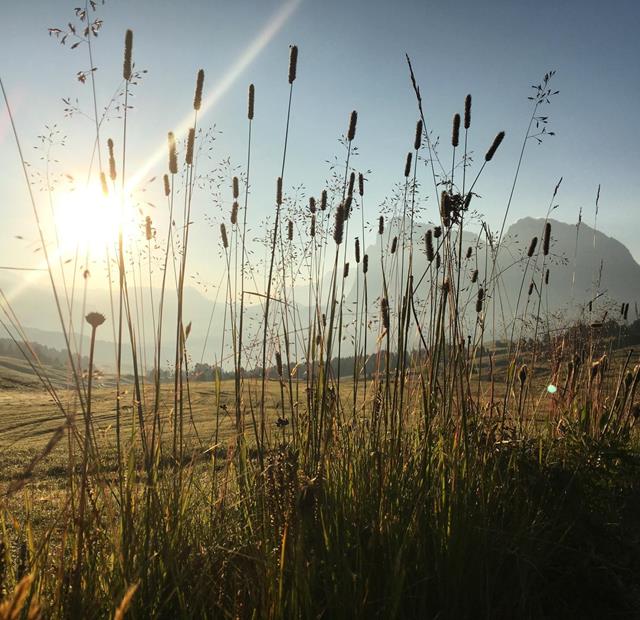 The Seiser Alm under the morning sun
