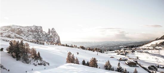 (c) Hannes Niederkofler_WEB-0505