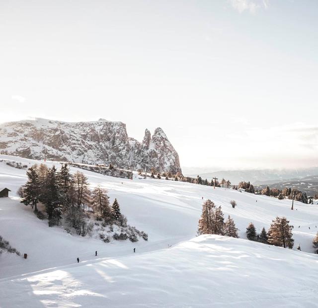 (c) Hannes Niederkofler_WEB-0505