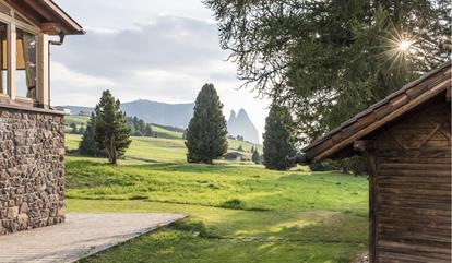 View of green alpine meadows with a mountain hut, trees, and Dolomite peaks in the background in sunlight.