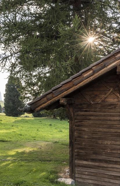 Blick auf grüne Almwiesen mit Berghütte, Bäumen und Dolomitengipfeln im Hintergrund bei Sonnenlicht.