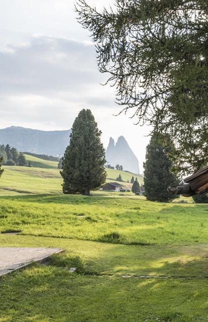 View of green alpine meadows with a mountain hut, trees, and Dolomite peaks in the background in sunlight.