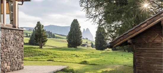 Blick auf grüne Almwiesen mit Berghütte, Bäumen und Dolomitengipfeln im Hintergrund bei Sonnenlicht.