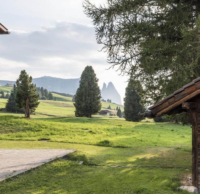 View of green alpine meadows with a mountain hut, trees, and Dolomite peaks in the background in sunlight.