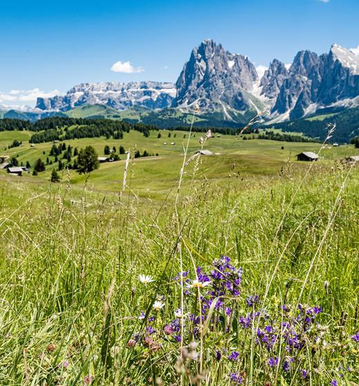 seiser-alm-marketing-werner-dejori-7