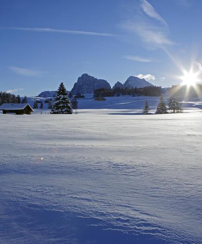 seiser-alm-winterlandschaft-frieder-blickle