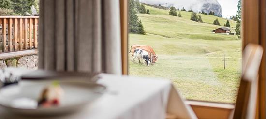 A table in the dining room with a view on a meadow with cows