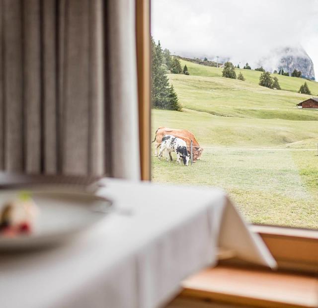 A table in the dining room with a view on a meadow with cows