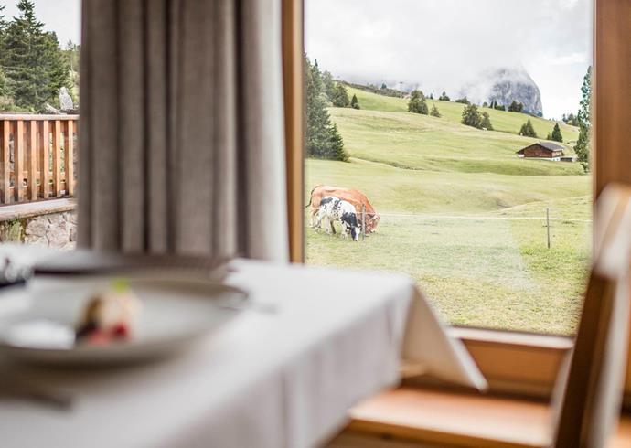A table in the dining room with a view on a meadow with cows