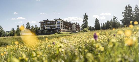 Unser Hotel von außen im Sommer